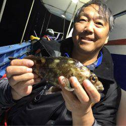 ヤザワ渡船 釣果