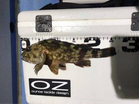 ヤザワ渡船 釣果