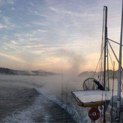 末広丸(熊本) 釣果