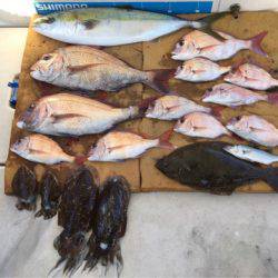 末広丸(熊本) 釣果