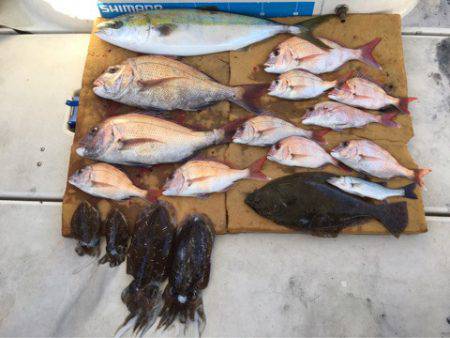 末広丸(熊本) 釣果