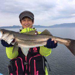 アマテラス 釣果