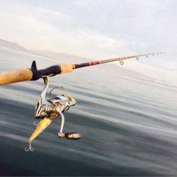 アマテラス 釣果