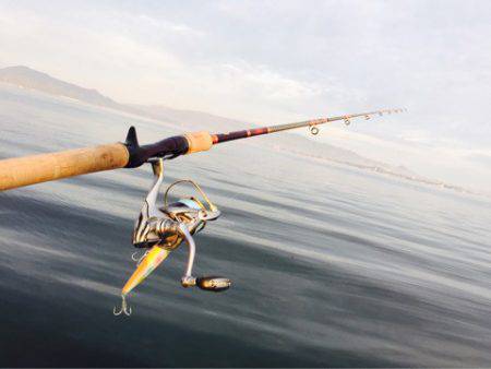 アマテラス 釣果