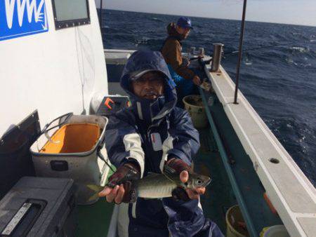 丸万釣船 釣果