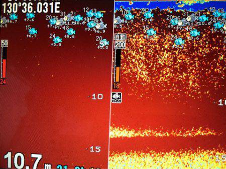 龍神丸(鹿児島) 釣果