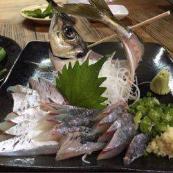 龍神丸(鹿児島) 釣果