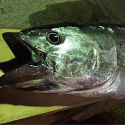 海楽隊 華栞丸 釣果