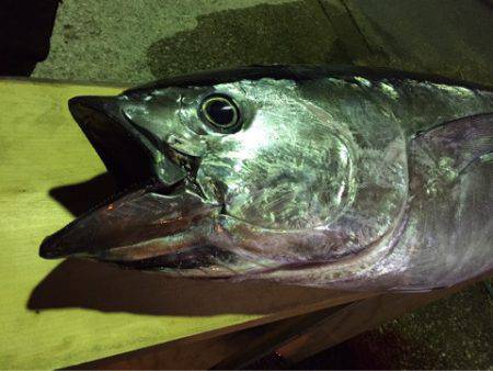 海楽隊 華栞丸 釣果