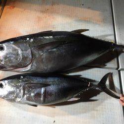 海楽隊 華栞丸 釣果