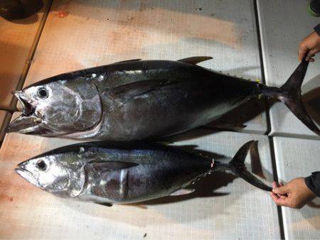 海楽隊 華栞丸 釣果