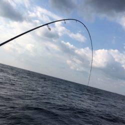 ＴＡＲＯＭＡＲＵ 釣果