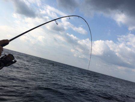 ＴＡＲＯＭＡＲＵ 釣果