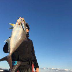 ＴＡＲＯＭＡＲＵ 釣果