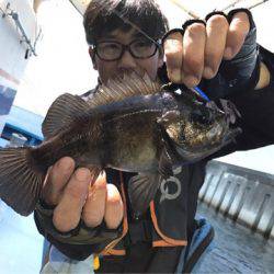 ヤザワ渡船 釣果