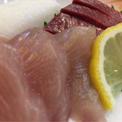 末広丸(熊本) 釣果