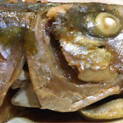 末広丸(熊本) 釣果