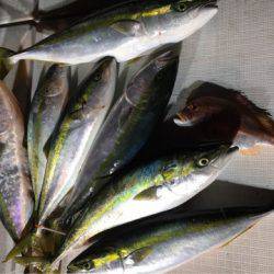 海楽隊 華栞丸 釣果