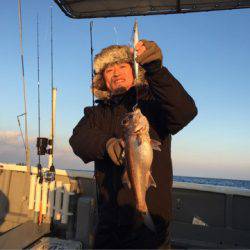 ＴＡＲＯＭＡＲＵ 釣果