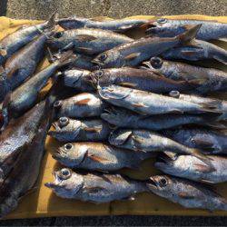 ＴＡＲＯＭＡＲＵ 釣果