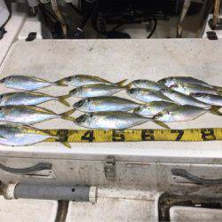 Monster Rush! 釣果