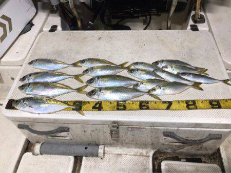 Monster Rush! 釣果