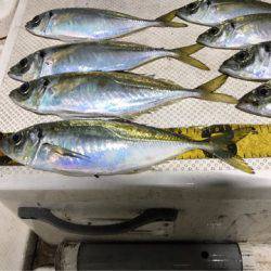 Monster Rush! 釣果