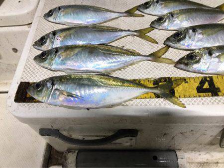 Monster Rush! 釣果