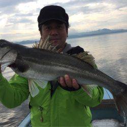 アマテラス 釣果