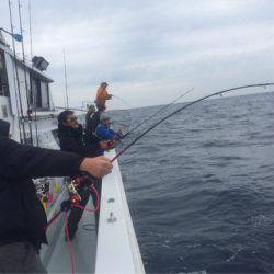 海楽隊 華栞丸 釣果