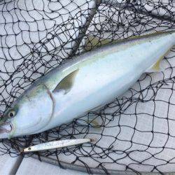 海楽隊 華栞丸 釣果