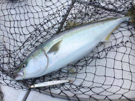 海楽隊 華栞丸 釣果