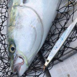 海楽隊 華栞丸 釣果