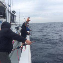 海楽隊 華栞丸 釣果