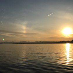 龍神丸(鹿児島) 釣果