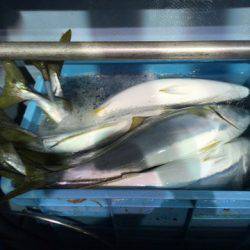 第二八坂丸 釣果