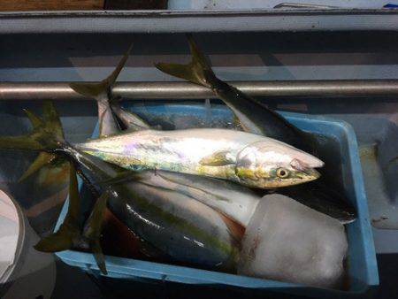 第二八坂丸 釣果