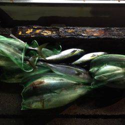 第二八坂丸 釣果