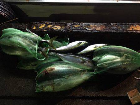 第二八坂丸 釣果