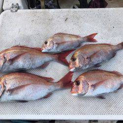 Monster Rush! 釣果