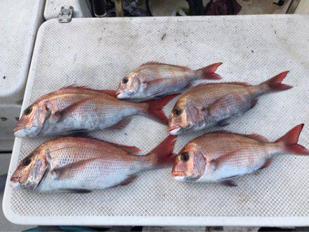 Monster Rush! 釣果