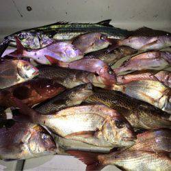 龍神丸(鹿児島) 釣果