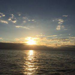 第二 海洋丸 釣果