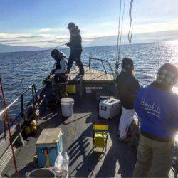 第二 海洋丸 釣果