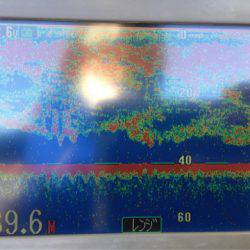 第二 海洋丸 釣果