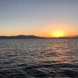 龍神丸(鹿児島) 釣果