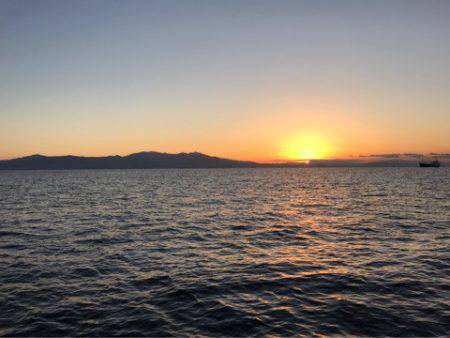 龍神丸(鹿児島) 釣果