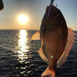 龍神丸(鹿児島) 釣果