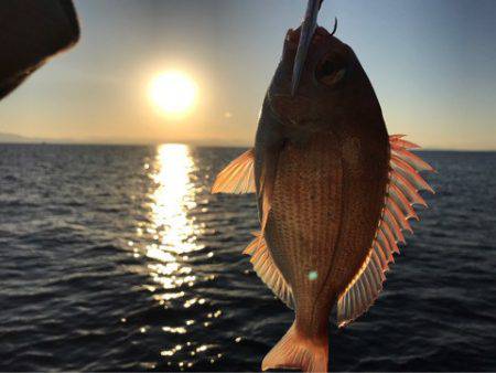 龍神丸(鹿児島) 釣果