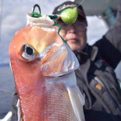 渡船屋たにぐち 釣果